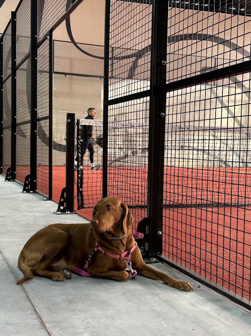 Padelstone Social Club